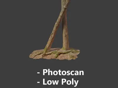 Pine Tree Collection PBR Scan 3D Model Pack