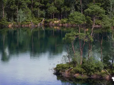 The Pine Environment  Low-poly 3D model