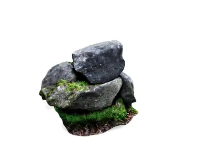 Verdant Accents A Trio of Moss-Covered Stones in 3D 3D model