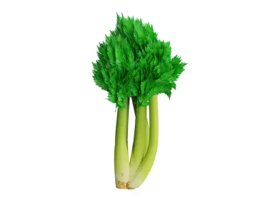 Celery Low-poly 3D model