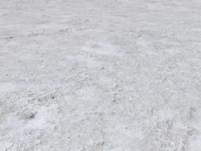 Salty shore by the lake 3D model