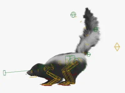  Animal Skunk Fur Animated Rigged for Blender 