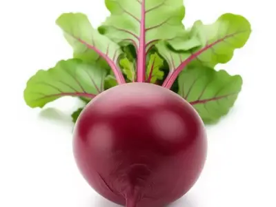 Ultra-Realistic Beetroot 3D Model Red Root with Green Leaves Low-poly 3D model