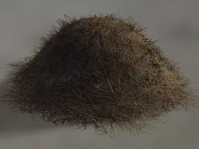 Hay Pile Low-poly 3D model