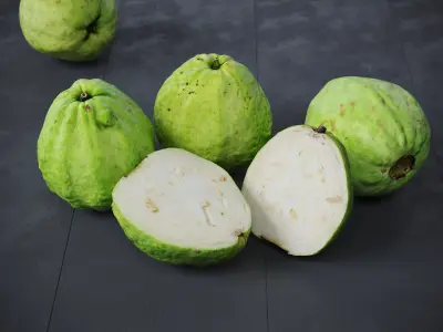 Guavas Green 6 Models