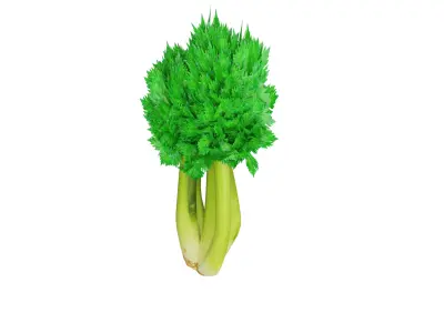 Celery Low-poly 3D model