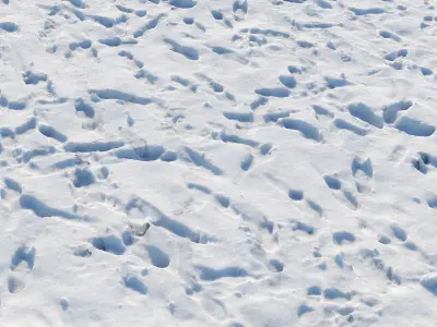 Ultra realistic Snow ground Scan  3D model