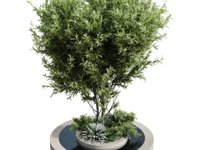 Outdoor Plants 6 3D model