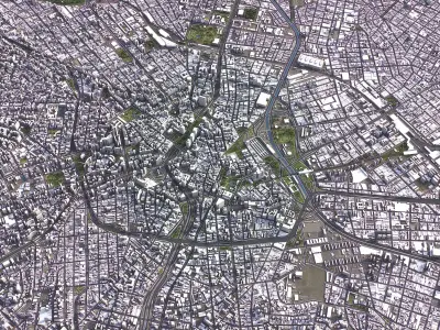 Sao Paulo - 3D City Model Low-poly 3D model