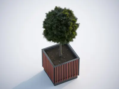 Small tree in a pot 3D model
