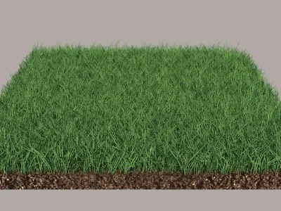 Grass 3D model