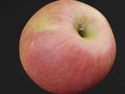 Apple Fruit Free 3D model