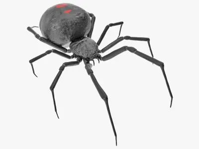  Black Widow Spider Rigged for Maya 