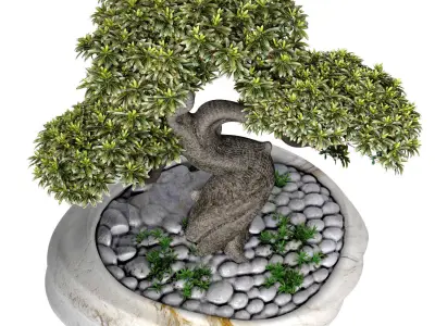 Decorative Bonsai Tree in Marble Flowerpot Vase Urn Pot 3D model