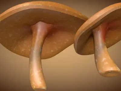 Mushroom 2 two mushrooms Low-poly 3D model