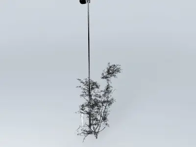 Thorn Civic Free 3D model