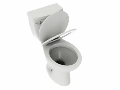 Single Flush Round Chair Height Toilet 3D model