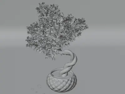 3D Bonsai Tree Low-poly 3D model