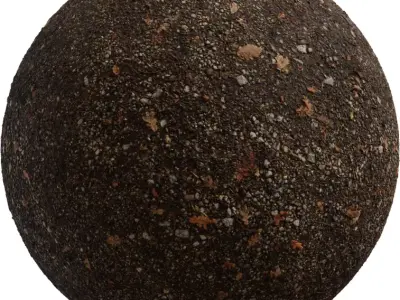 Forest Path Gravel With Leaf Litter PBR Texture Texture