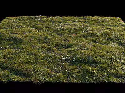 Grass setup - Chaos scatter for Cinema 4D and Corona 3D model