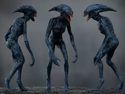 Deacon Low-poly 3D model