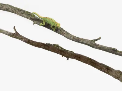  Walking Chamelion Animated Rigged for Blender 