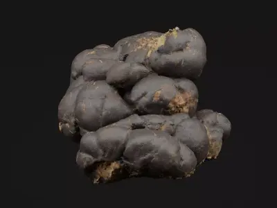 Manure 3D model