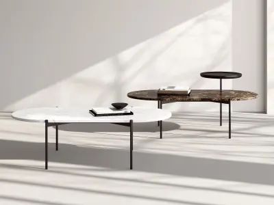 Plateau Oval Coffee Table 3D model