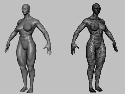 Blender - Muscular Male & Female Anatomy - Topology + UV
