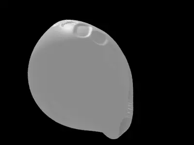 Conchshell shell 3D model