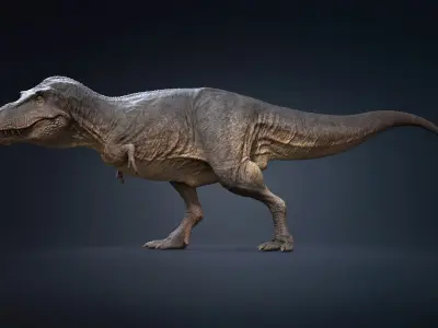  Tyrannosaurus Rex Rigged 