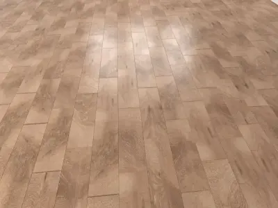 Wood Floor Planks Pack 1 Texture