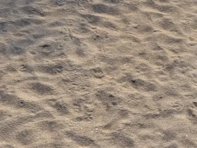 Sand on the shore 3D model