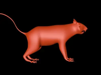 Squirrel 3D Model cat 3D model