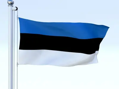 Animated Estonia Flag Low-poly 3D model
