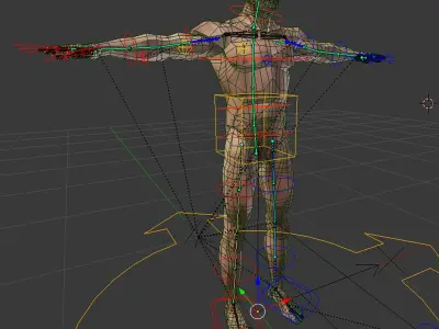  BLENDER Rigged Male and Female Anatomy V07 