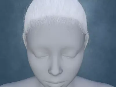 Updo Hair DAZ Studio Low-poly 3D model