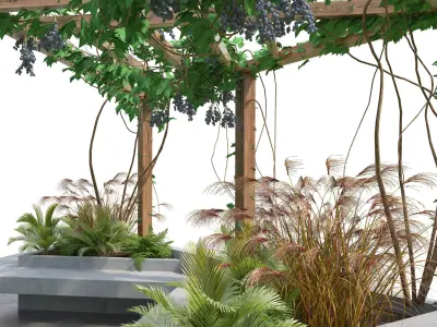Crape vine pergola backyard Low-poly 3D model