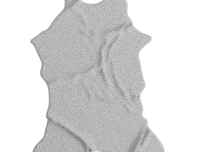 Animal skin rug 17 3D model