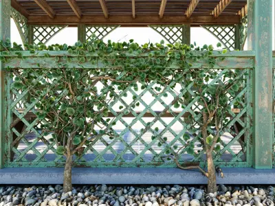 Arbor with trellis  3D model