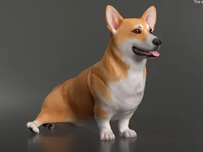  Dog Welsh Corgi Pembroke Rigged 