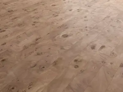 Birch Burl wood flooring and parquet Set 02 Texture