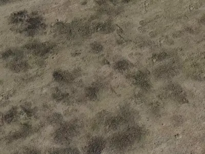 Mildewed Plaster Wall  Texture