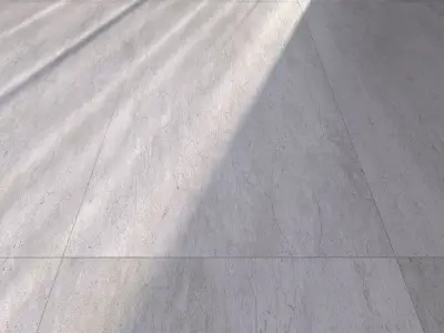 Floor Hyper Silver 60x120 Texture