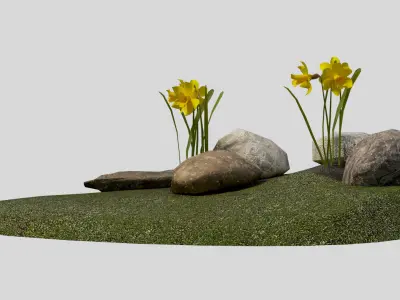 Yellow daffodils and stones Low-poly 3D model