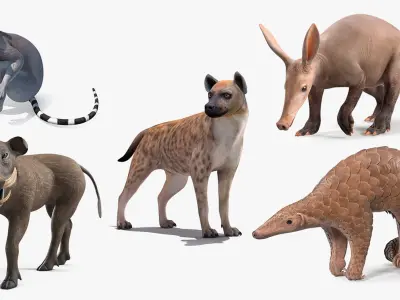  African Mammals Rigged for Cinema 4D Collection 2 