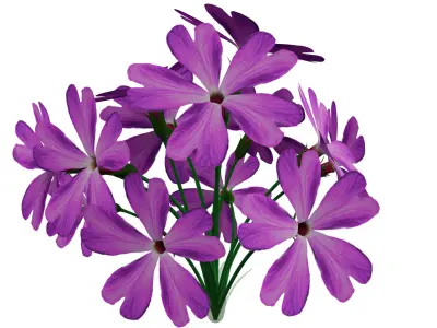 Violet Flower Low-poly 3D model