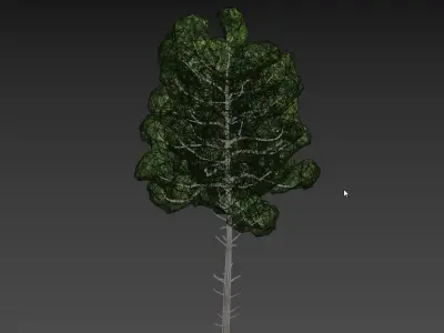 Low Poly Tree Stylish Low-poly 3D model