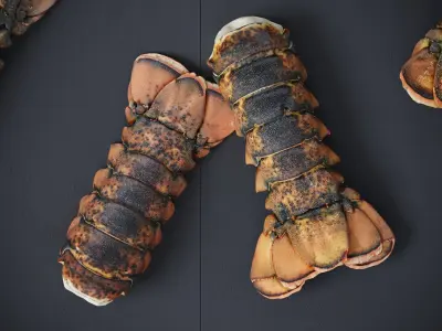 Atlantic Lobster Tails 8 Models