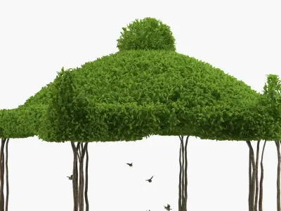  Woman Next To Birdbath 